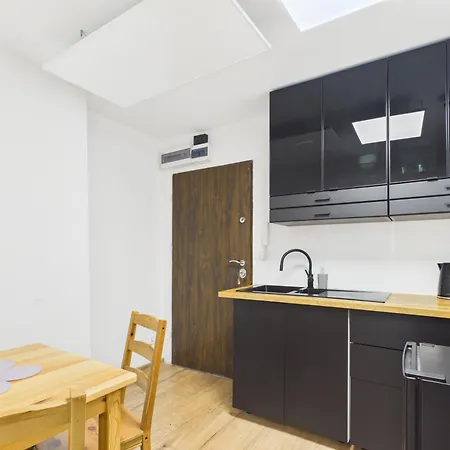 Gpp Retro Loft Apartment Chorzow